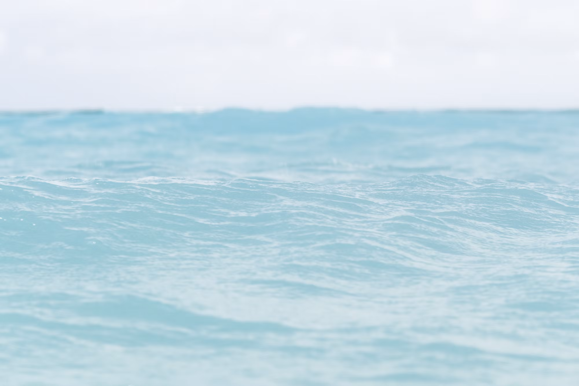 Beneath the Surface: An Exploration of Diving Disciplines